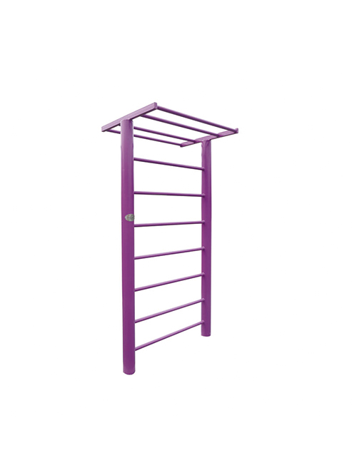 學(xué)校健身路徑